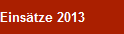 Einstze 2013